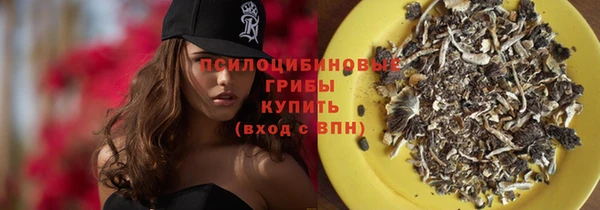 дмт Новодвинск