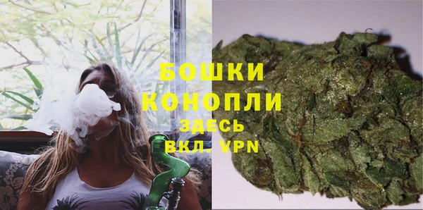 дмт Новодвинск