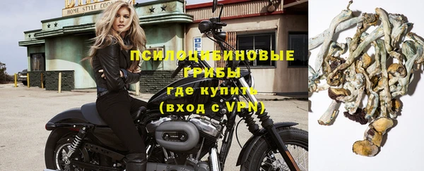 ALPHA-PVP Новозыбков