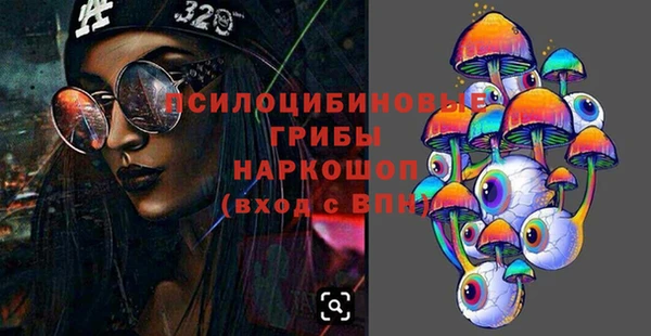ALPHA-PVP Новозыбков