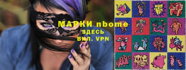 дмт Новодвинск